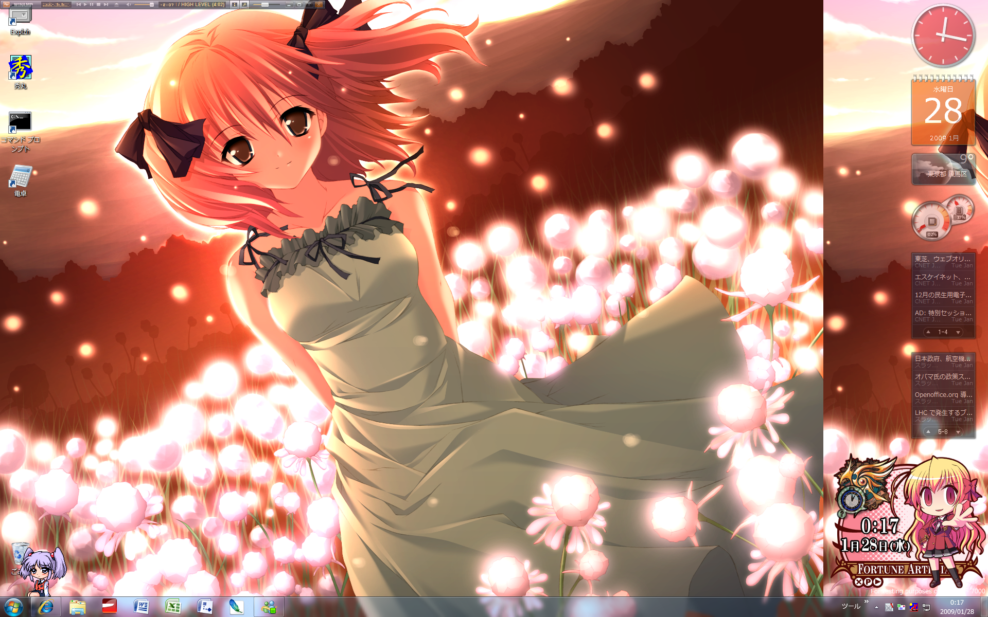 windows7_tamaki_desktop.png