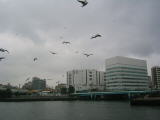 IMG_1399.JPG