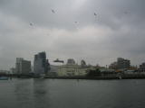 IMG_1400.JPG