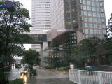 IMG_1445.JPG
