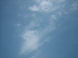 IMG_0051.JPG