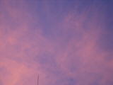 IMG_0455.JPG