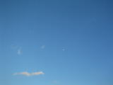 IMG_0936.JPG