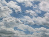 IMG_1177.JPG