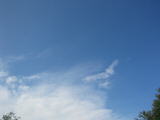 IMG_1197.JPG