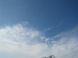 IMG_1200.JPG