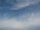 IMG_1205.JPG