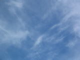 IMG_1207.JPG