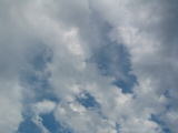 IMG_1283.JPG