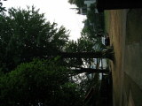 IMG_0420.jpg