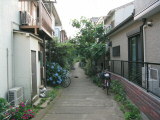 IMG_0425.jpg