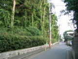 IMG_0432.jpg