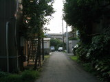 IMG_0433.jpg